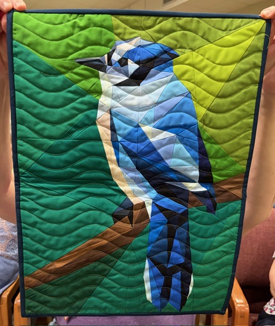 Blue jay bird in blue and teal tones