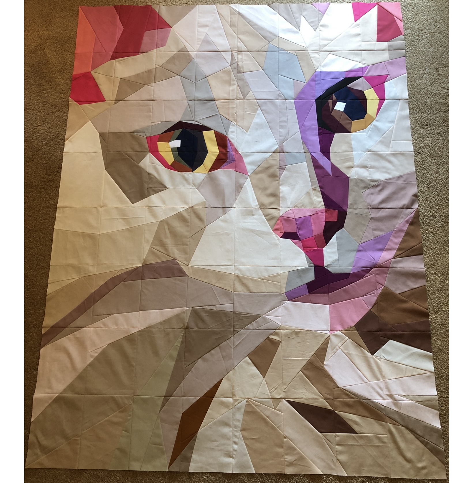 White cat face portrait with colorful eyes